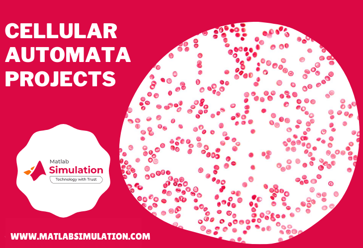Implementation a model of cellular automata application using Matlab
